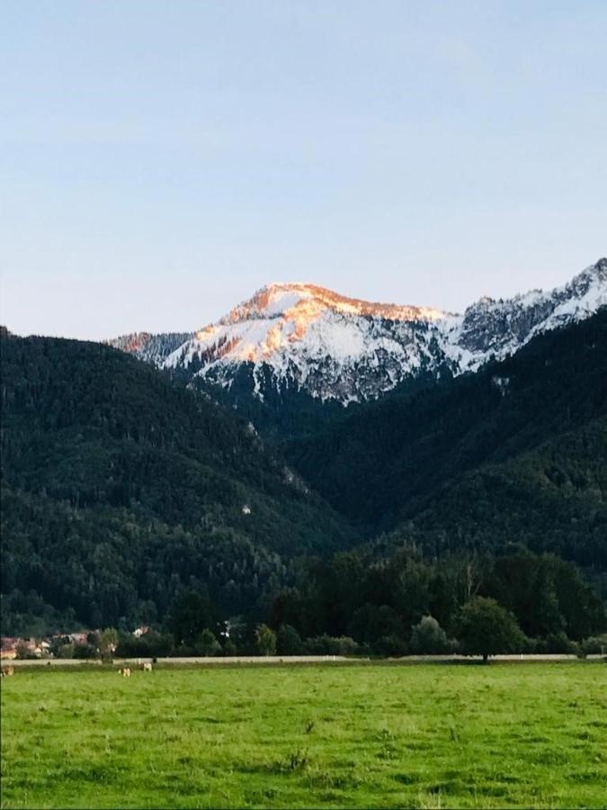 Apartament Haus Schwarz Staudach-Egerndach Zewnętrze zdjęcie